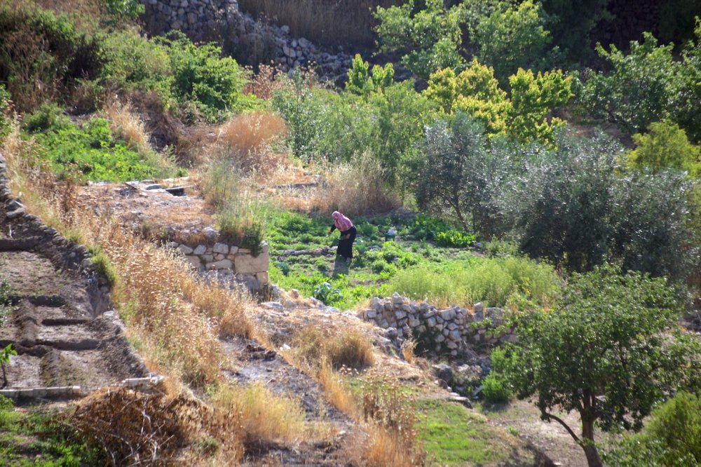 A Palestinian woman works on her land in Battir, southwest of Jerusalem, July 5, 2012.