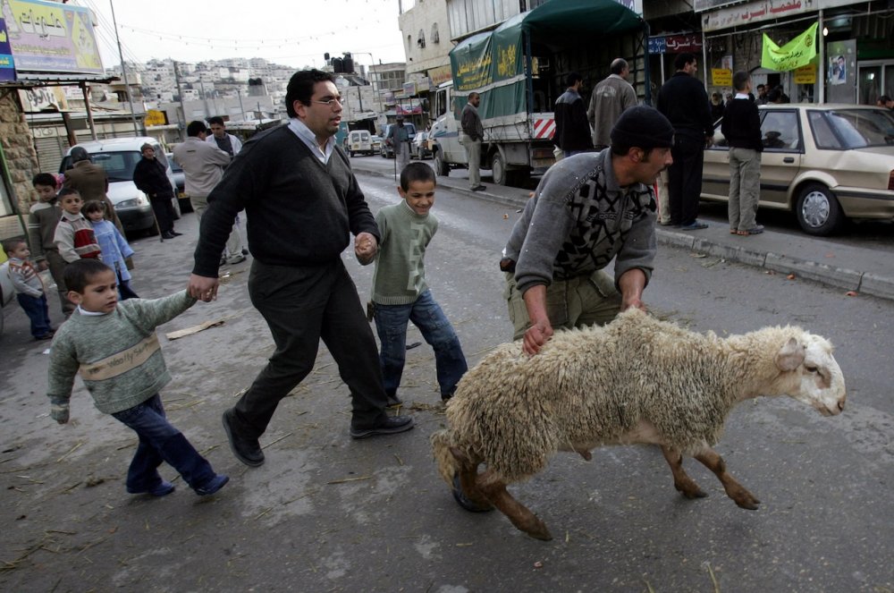 A family chooses a sheep to slaughter in Eid al-Adha in Jerusalem, January 10, 2006.