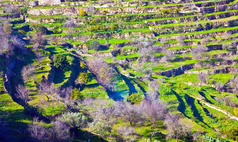 Terraced agricultural lands in the Palestinian village of Battir, West Bank