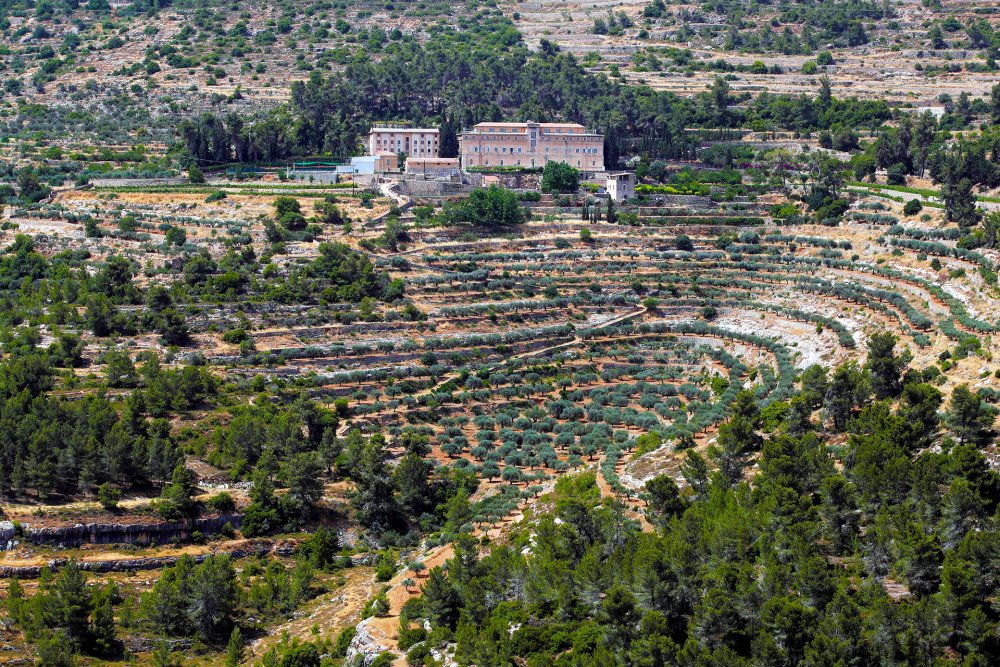 The Cremisan Monastery and winery in Beit Jala, West Bank, June 6, 2019