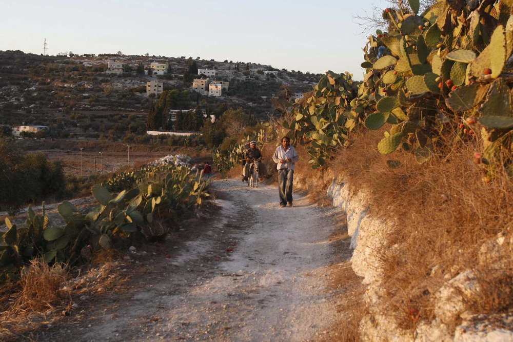 Palestinian farmers leave their fields in the village of Jeit near Nablus, October 11, 2010.