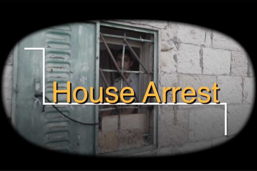 A screenshot of Ali Qanibi looking out of a window in the video “No Prison Like Home: House Arrest in Occupied Jerusalem.”
